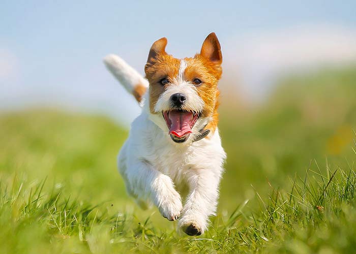 photo of Johnathan Sergeant